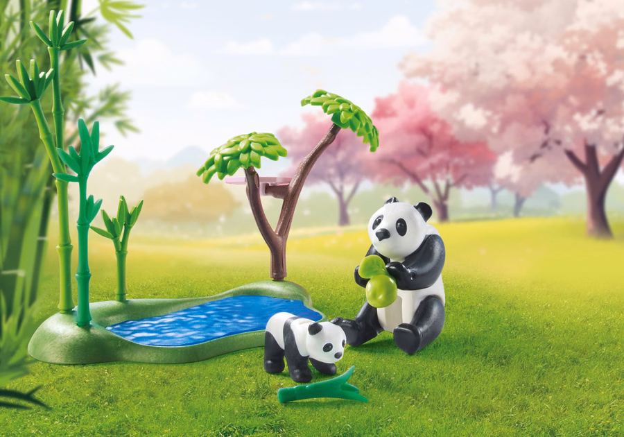 Jardin asiatique avec panda